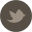 Twitter Twitter